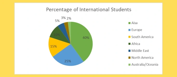 Student Diversity in US BBA Program