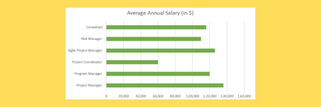 What are the Top Job Roles and Salary Expectations After Masters in Project Management in USA