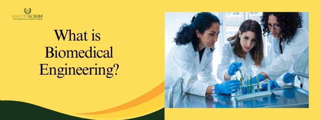 What is Biomedical Engineering