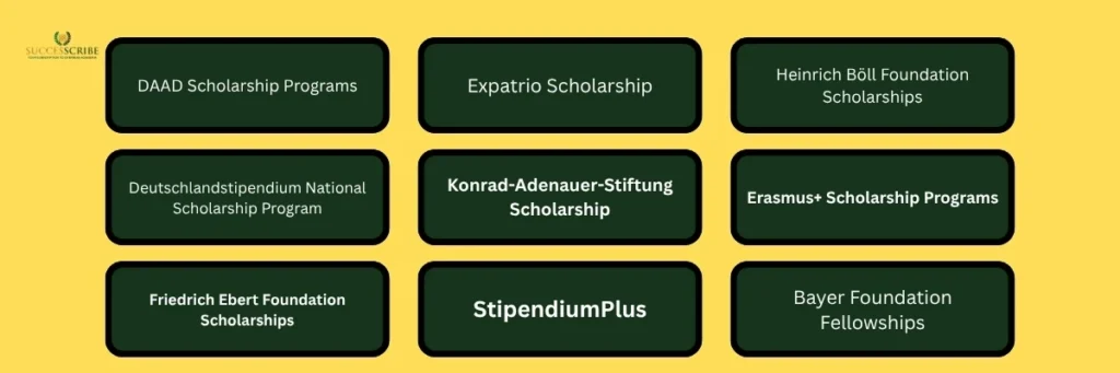 Government and Organization-Funded Scholarships in Germany