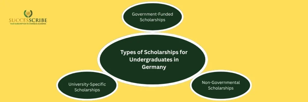 Types of Scholarships for Undergraduates in Germany