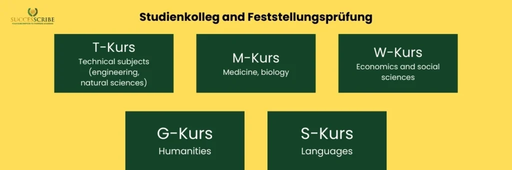 Admission Requirements for Bachelor Programs at LMU Munich