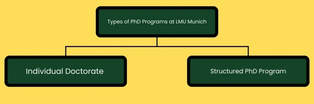 Admission Requirements for PhD Programs at LMU Munich