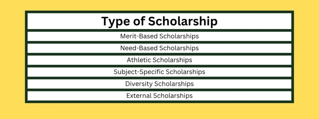 Types of Scholarships for Bachelor’s Studies in the USA