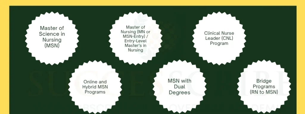 Types of Master’s Nursing Programs Available in the USA