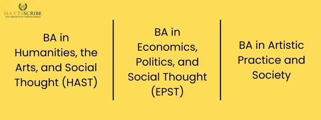 Programs & Courses at Bard College Berlin