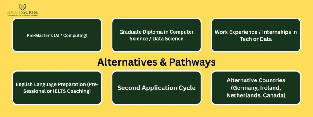 Alternatives & Pathways (If You Don’t Get Admitted Immediately)