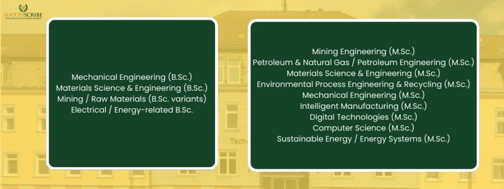 Top Programs at Clausthal University of Technology