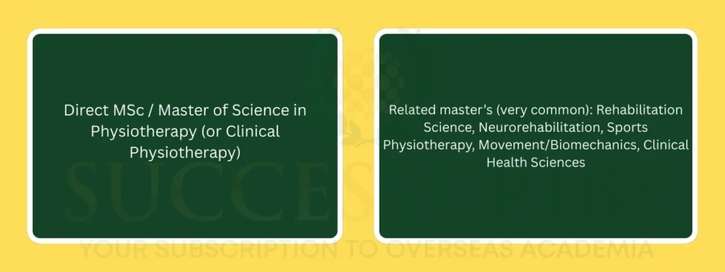 What master’s degrees in physiotherapy exist in Germany