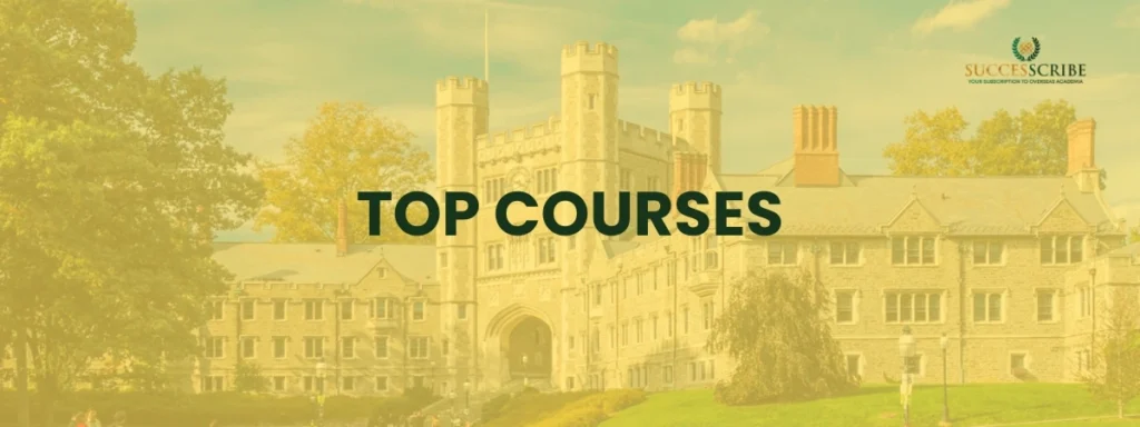 Top Courses and Highly Ranked Programs at Princeton University
