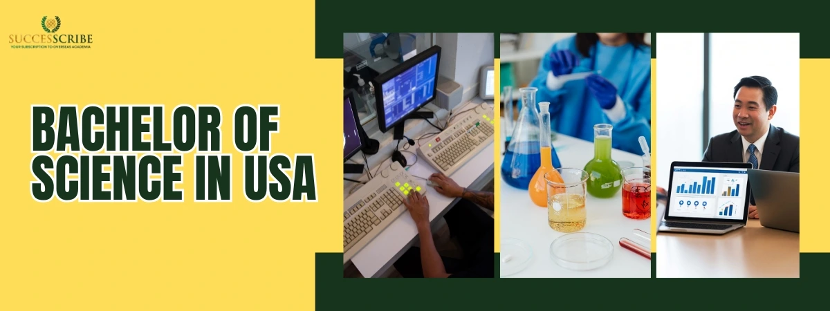 Bachelor of Science in USA